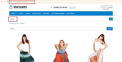 INRAISE: Schema.org/SearchAction. SEO-микроразметка для поиска по сайту без помощи программиста
