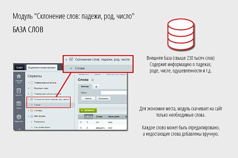 Склонение слов: падежи, род, число