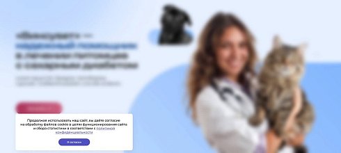 STARt: Уведомление об обработке файлов cookie