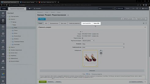 Метатеги Open Graph(OpenGraph, OG), Twitter, социальных сетях(мультисайтовость,мультирегиональность)