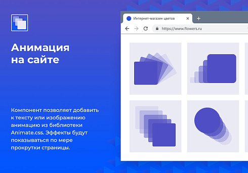 Анимация на сайте