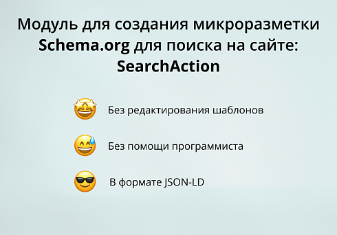 INRAISE: Schema.org/SearchAction. SEO-микроразметка для поиска по сайту без помощи программиста