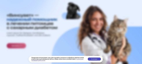 STARt: Уведомление об обработке файлов cookie