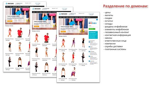 Ammina. Регионы (филиалы и представительства). Мультирегиональность на доменах и URL адресах