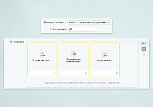 INRAISE: Файл/Картинка. Пользовательское свойство