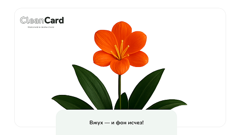 CleanCard — массовое автоудаление фона с изображений