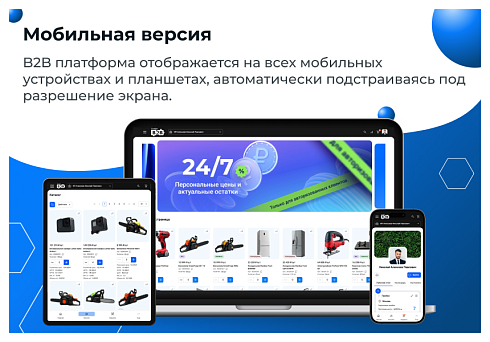 Сотбит: B2B портал Pro