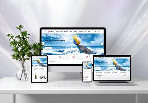 EPIR: Интернет-магазин