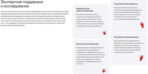kvokka: Сайт некоммерческой организации и благотворительного фонда