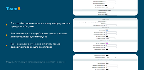 Team-B — Scrollbar: Красивый сайт, скролл, скроллбар