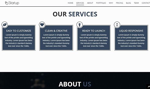 Сайт Startup'а