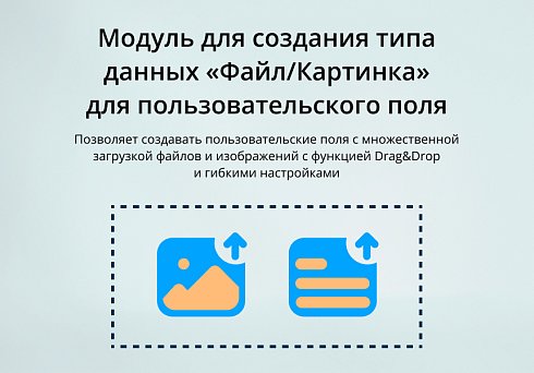 INRAISE: Файл/Картинка. Пользовательское свойство