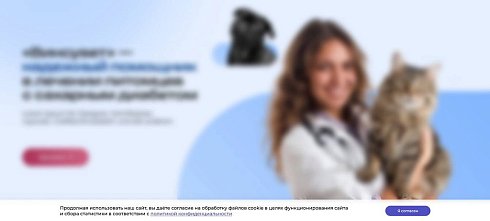 STARt: Уведомление об обработке файлов cookie